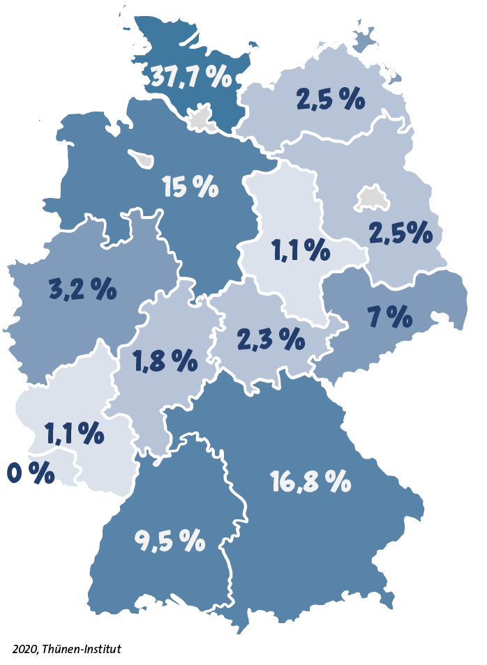 Deutschlandkarte mit prozentualem Anteil der Fischproduktion
