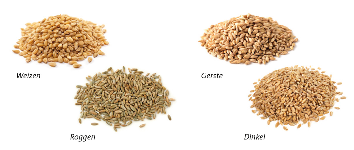 Dinkel-, Roggen-, Gersten- und Dinkelkörner als seperate Häufchen