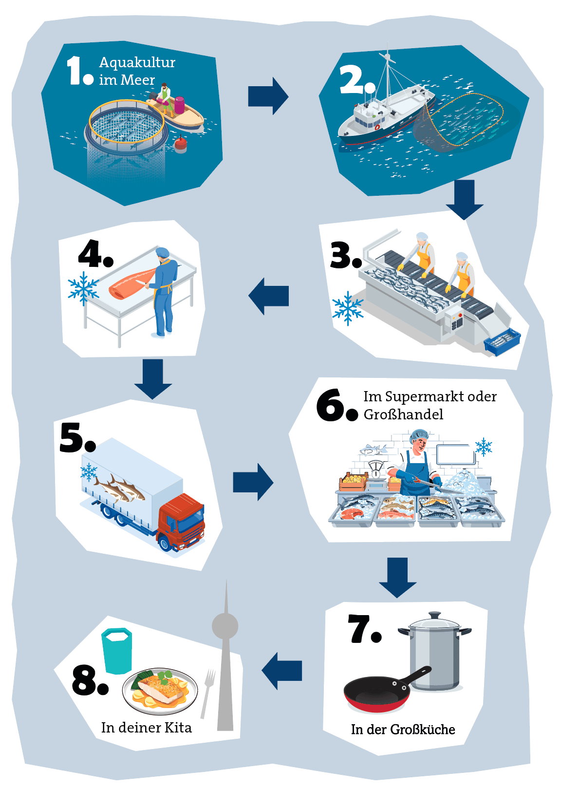 Gezigt wird die Lieferkett vom Fisch, von der Aquakultur im Meer, über Fischfang, der Sortierung, Verarbeitung mit dem LKW in den Super- oder Großmarkt. Von dort geht es in die Großküche und dann auf deinen Teller.
