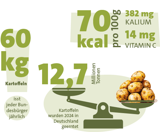 Kartoffelwerte in Zahlen