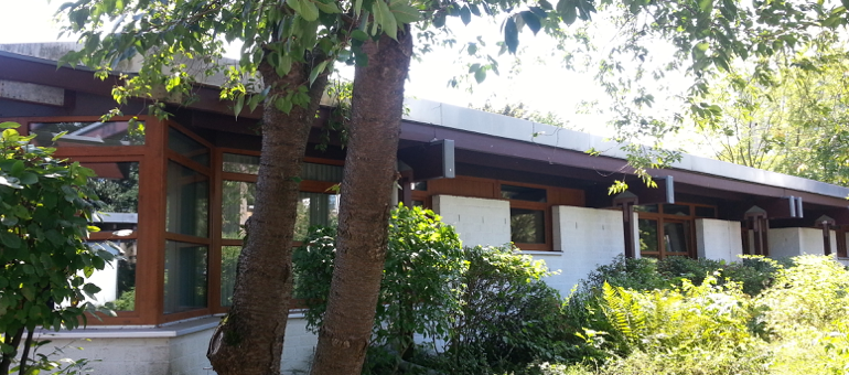  Kindergarten Purzelbaum Illustration 