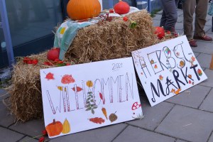 Autumn market