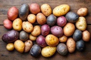 Verschiedene Sorten Kartoffeln